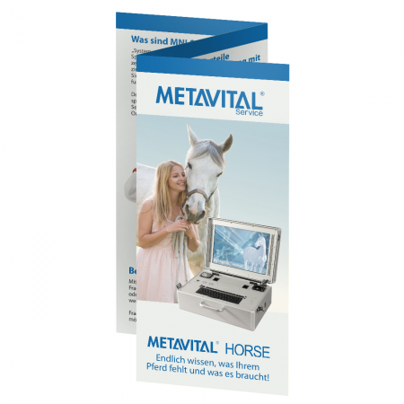 Besitzer-Flyer (METAVITAL HORSE) (alte Version)
