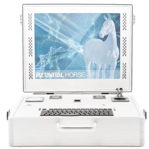 Horse device-1 Horse device-1