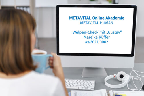 Webinar Vorschaubild #w2021-0002