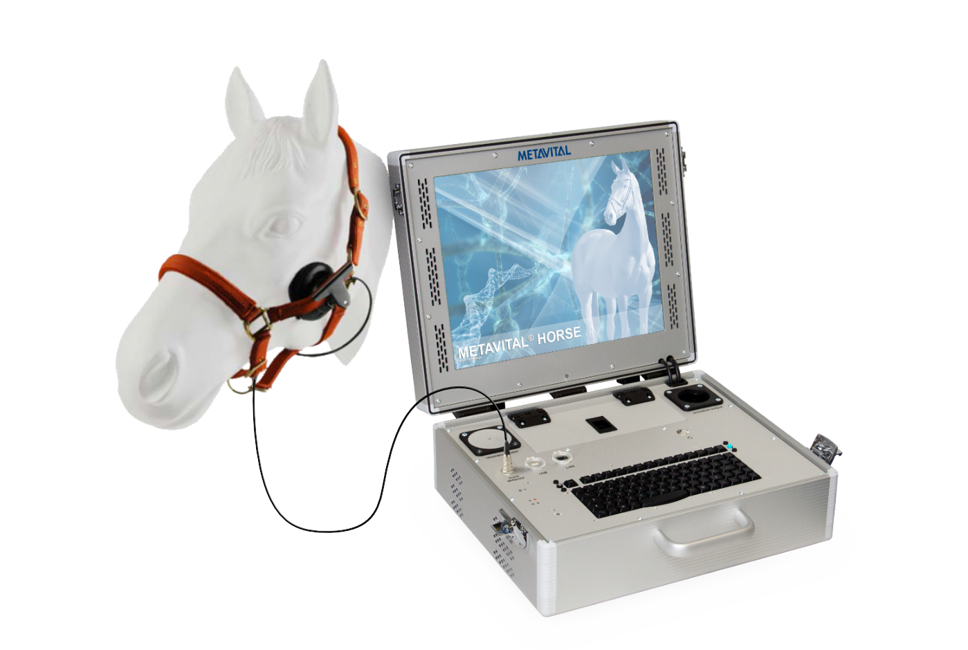 Horse System Bild