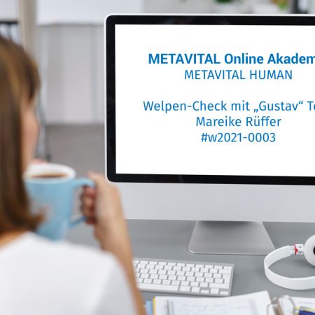 Vorschaubild Webinar w2021-0003
