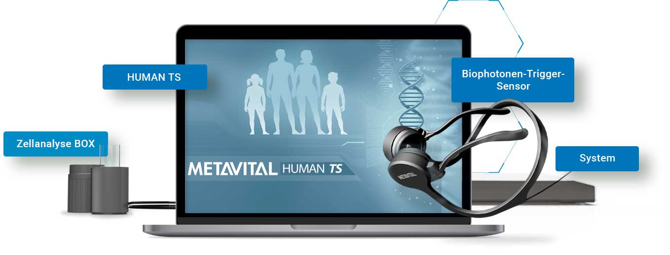 METAVITAL HUMAN TS