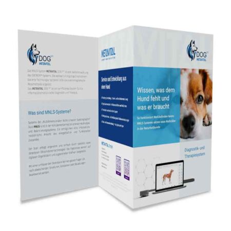 Therapeuten-Flyer (DOG VET)