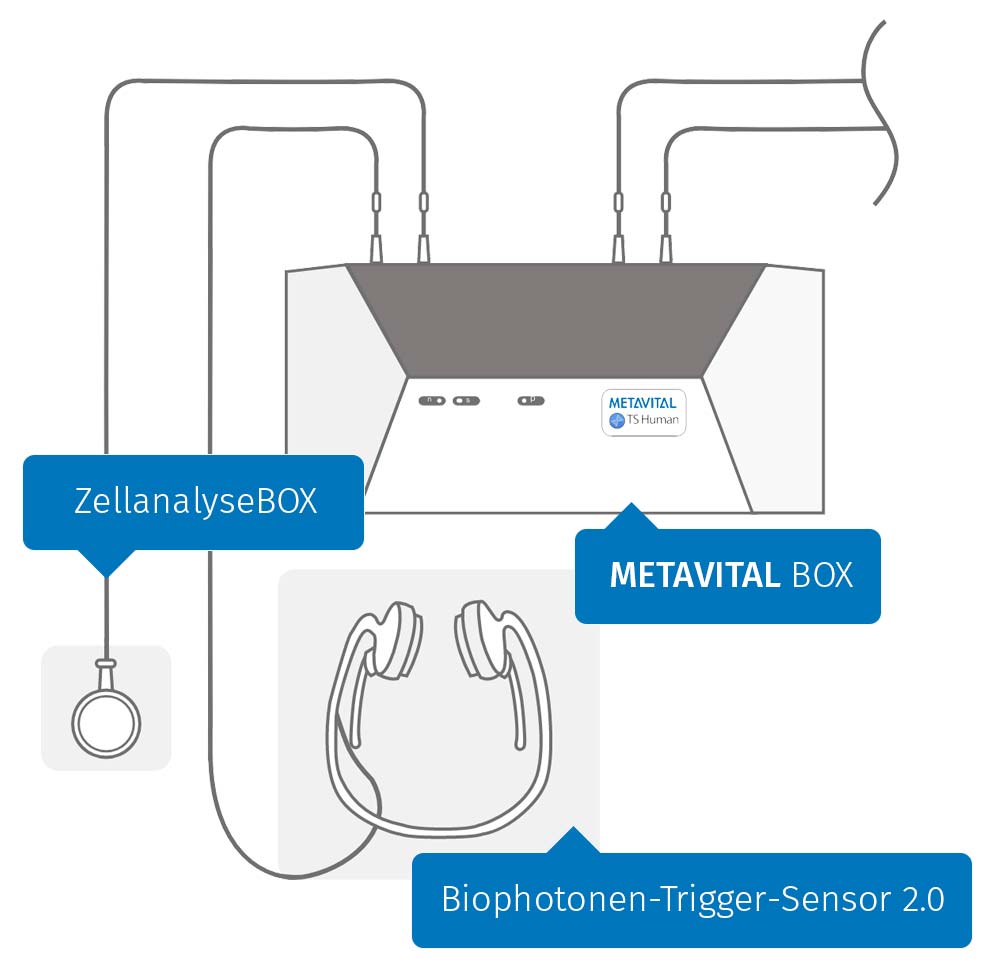 System Schema Draufsicht