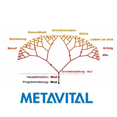 METAVITAL Online Academy (METAVITAL HUMAN) - Psyche under power