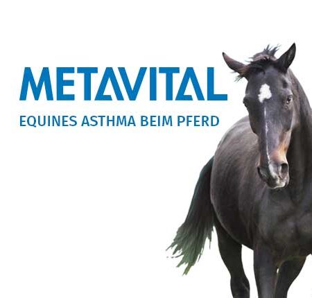 METAVITAL Online Academy (METAVITAL DOG VET) - Equine Asthma in Horses