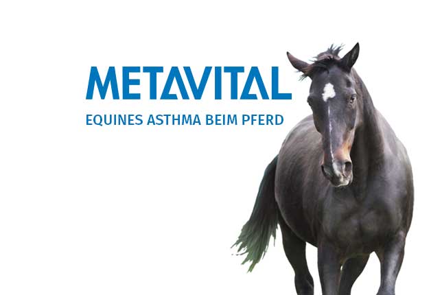 shop_akademie_produktvorschaubild_b METAVITAL Online Akademie (METAVITAL DOG VET) - Equines Asthma beim Pferd – Bild 1