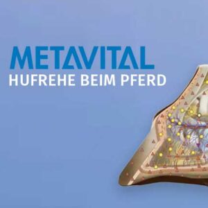 METAVITAL Online Akademie (METAVITAL HORSE VET) - Hufrehe beim Pferd