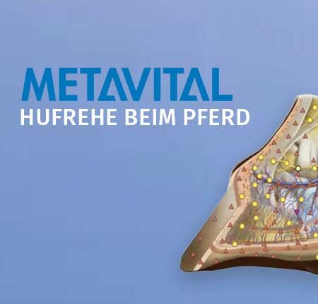 METAVITAL Online Akademie (METAVITAL HORSE VET) - Hufrehe beim Pferd
