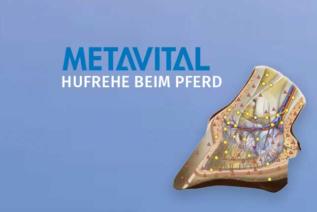 #w2026-0015_hshop_thumb METAVITAL Online Akademie (METAVITAL HORSE VET) - Hufrehe beim Pferd – Bild 1